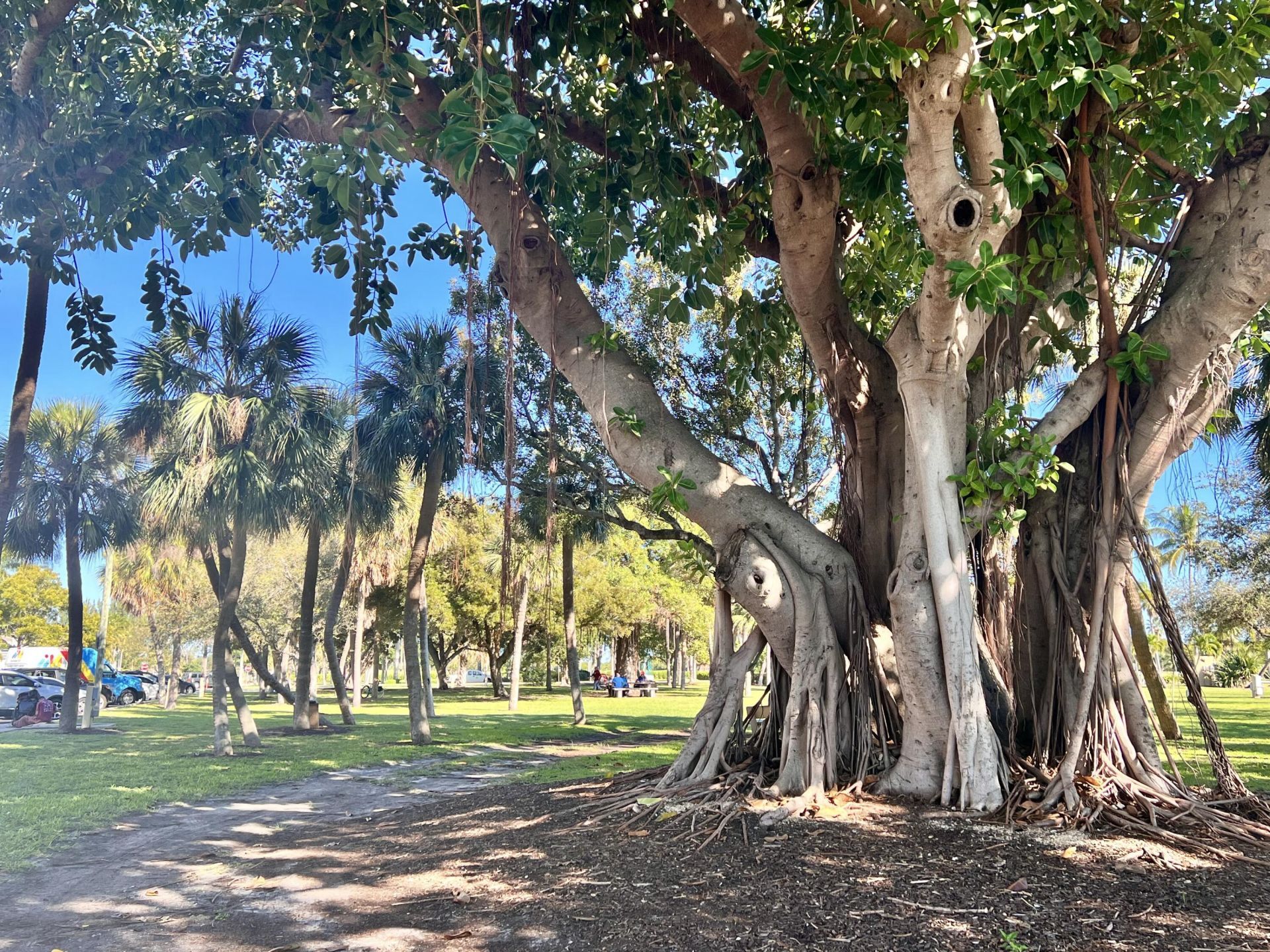 101 S Golfview Road, Unit 1, Lake Worth Beach, FL 33460 Photo