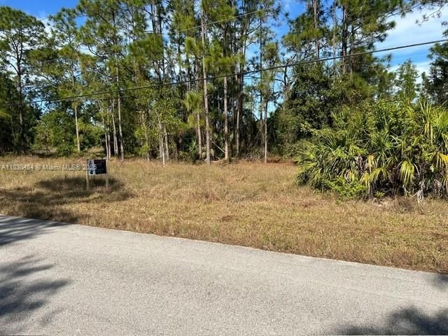 511 Addison St E, Lehigh Acres, FL 33974 Photo