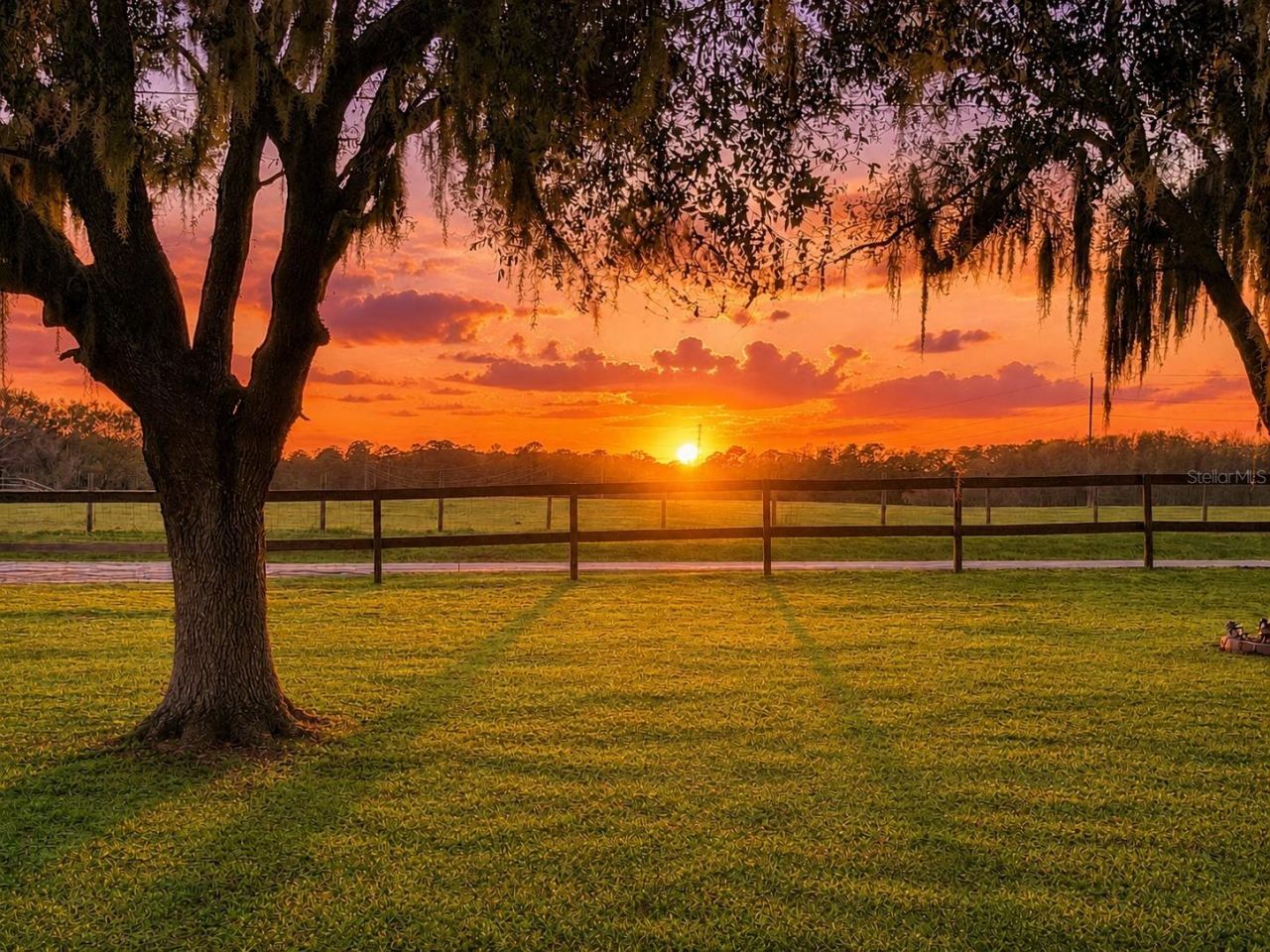 12651 SE County Road 337, Dunnellon, FL 34431 Photo