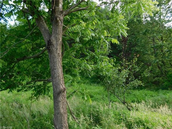 TBD Lala Way, Piney Creek, NC 28663