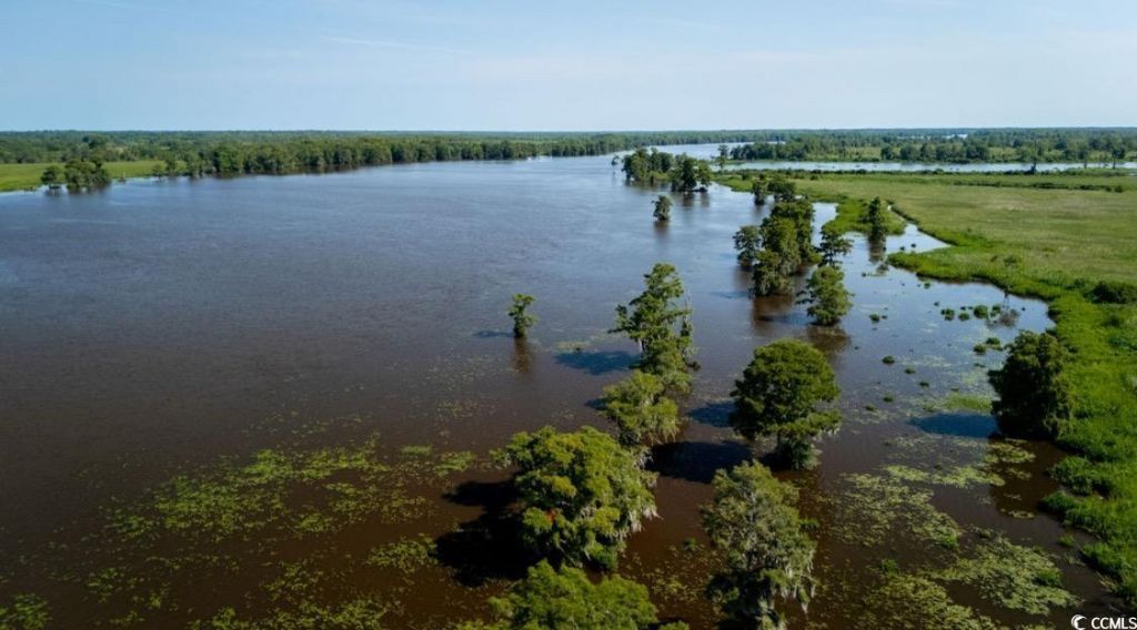 313 Rossdhu Ave. Photo 11