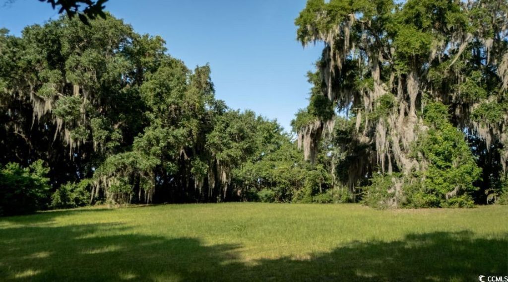 313 Rossdhu Ave. Photo 16