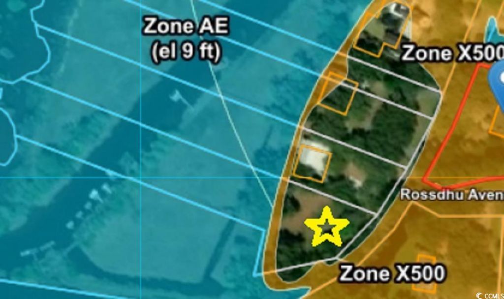 313 Rossdhu Ave. Photo 28