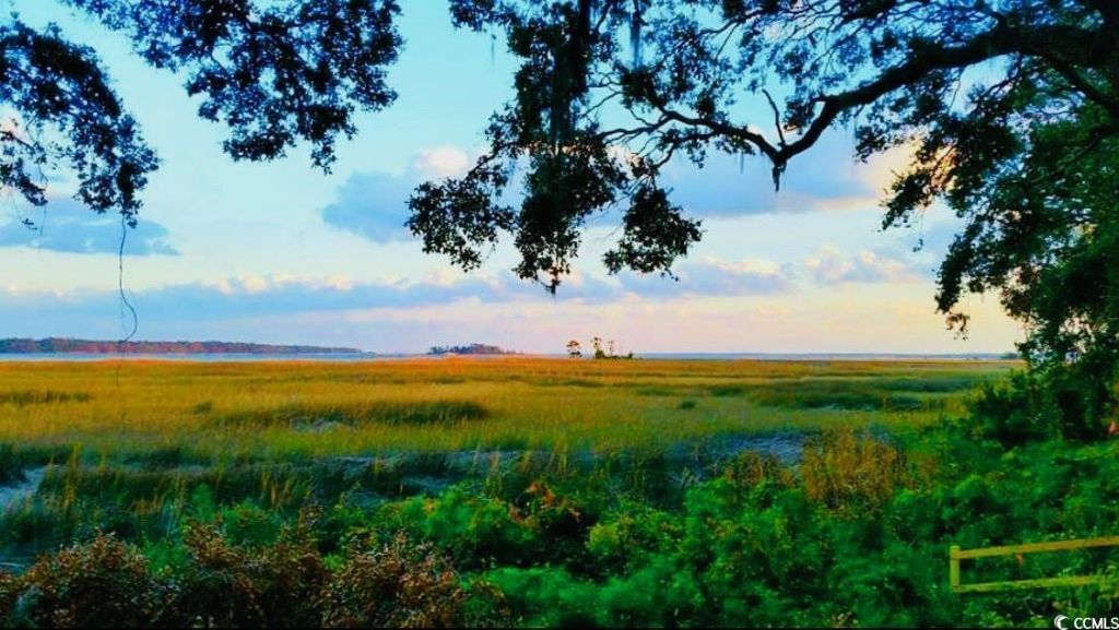 313 Rossdhu Ave. Photo 35