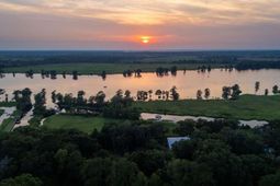 313 Rossdhu Ave. photo 4