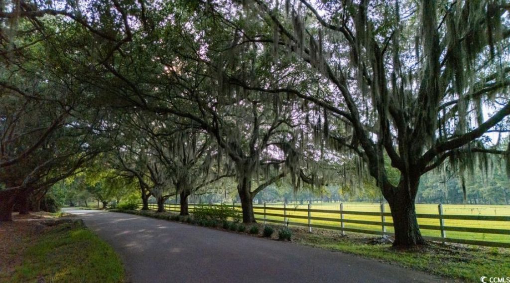 313 Rossdhu Ave. Photo 6