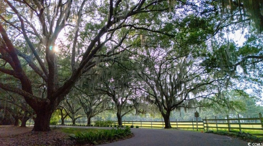 313 Rossdhu Ave. Photo 7