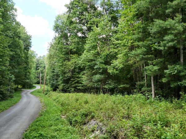 Lot 13/14 Clifton Cemetery Road, Spring City, TN 37381