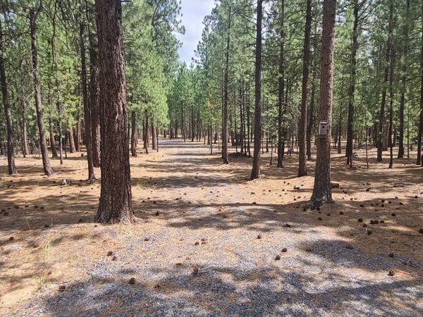 52328 Elderberry Court, La Pine, OR 97739