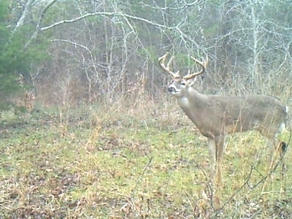 3324 County Road 3206, Dawson, TX 76639