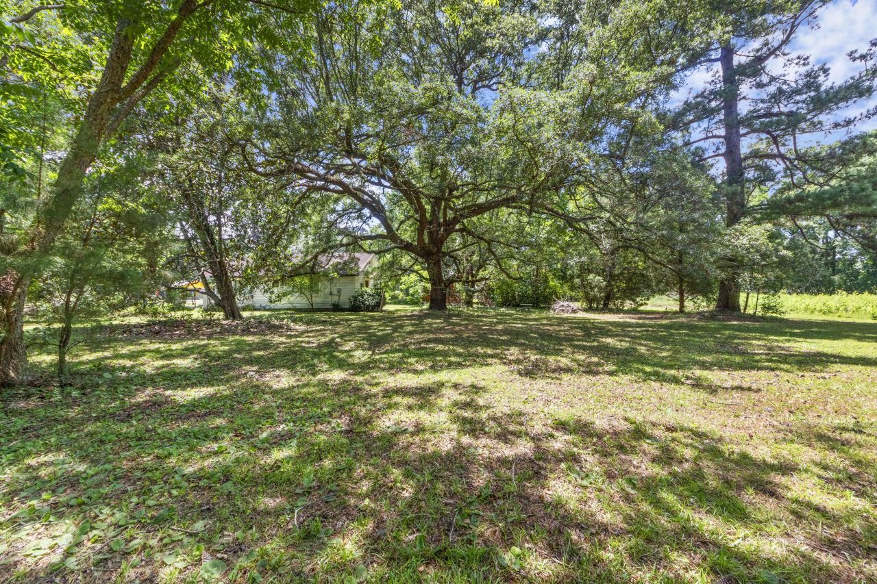 1736 Central Avenue Photo 20