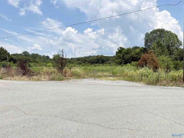 +/-3 ac Cox Avenue, Stevenson, AL 35772