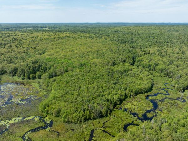 Lot 46 Carl Bailey, Bristol, ME 04539