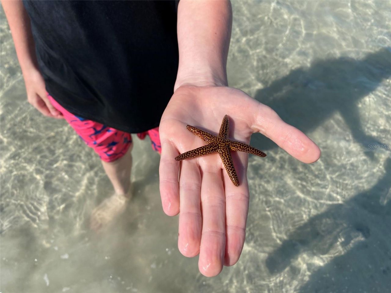 6180 Manasota Key Road, Lot #Gulf Side, Englewood, FL 34223 Photo