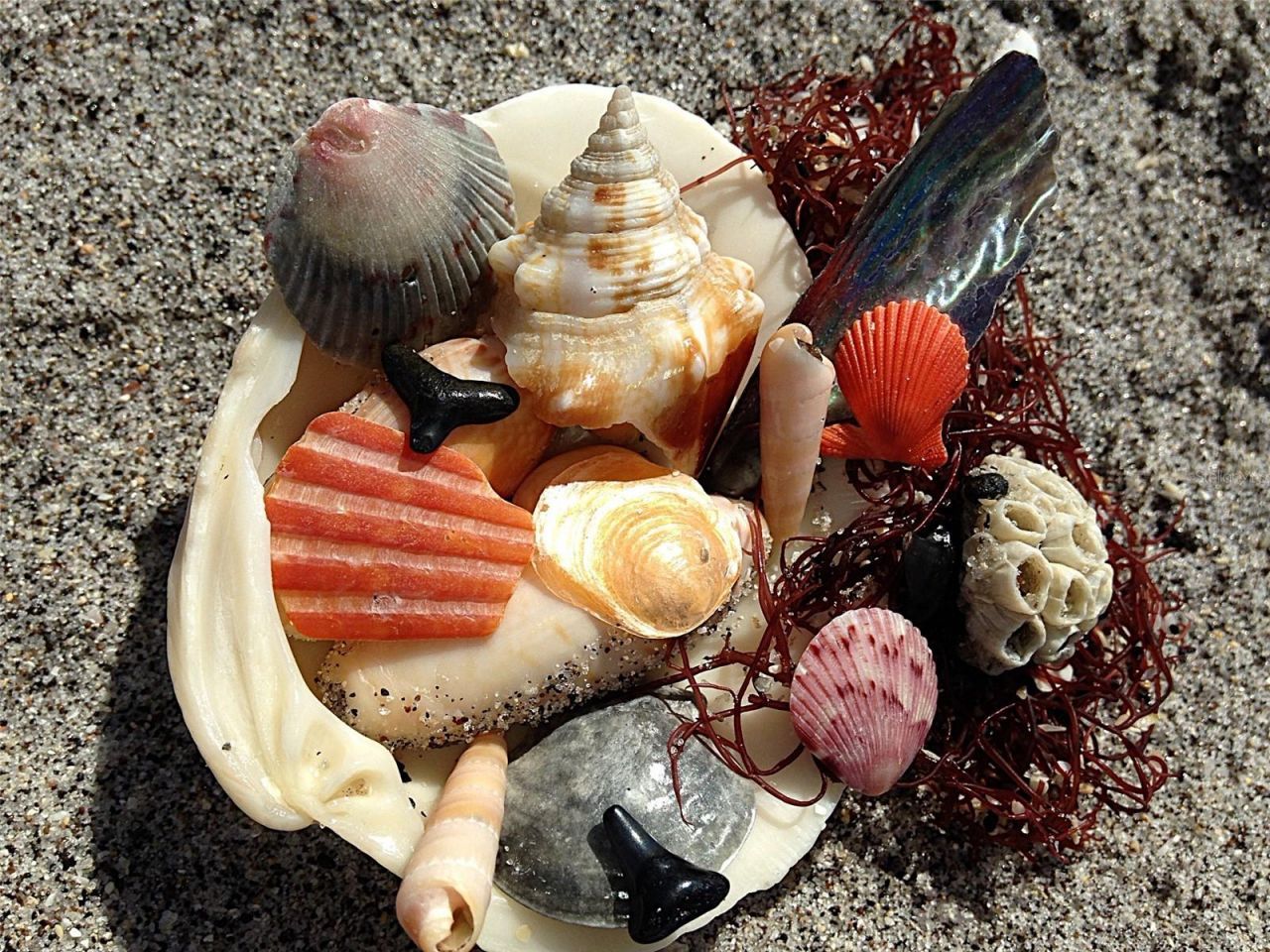 6180 Manasota Key Road, Lot #Gulf Side, Englewood, FL 34223 Photo