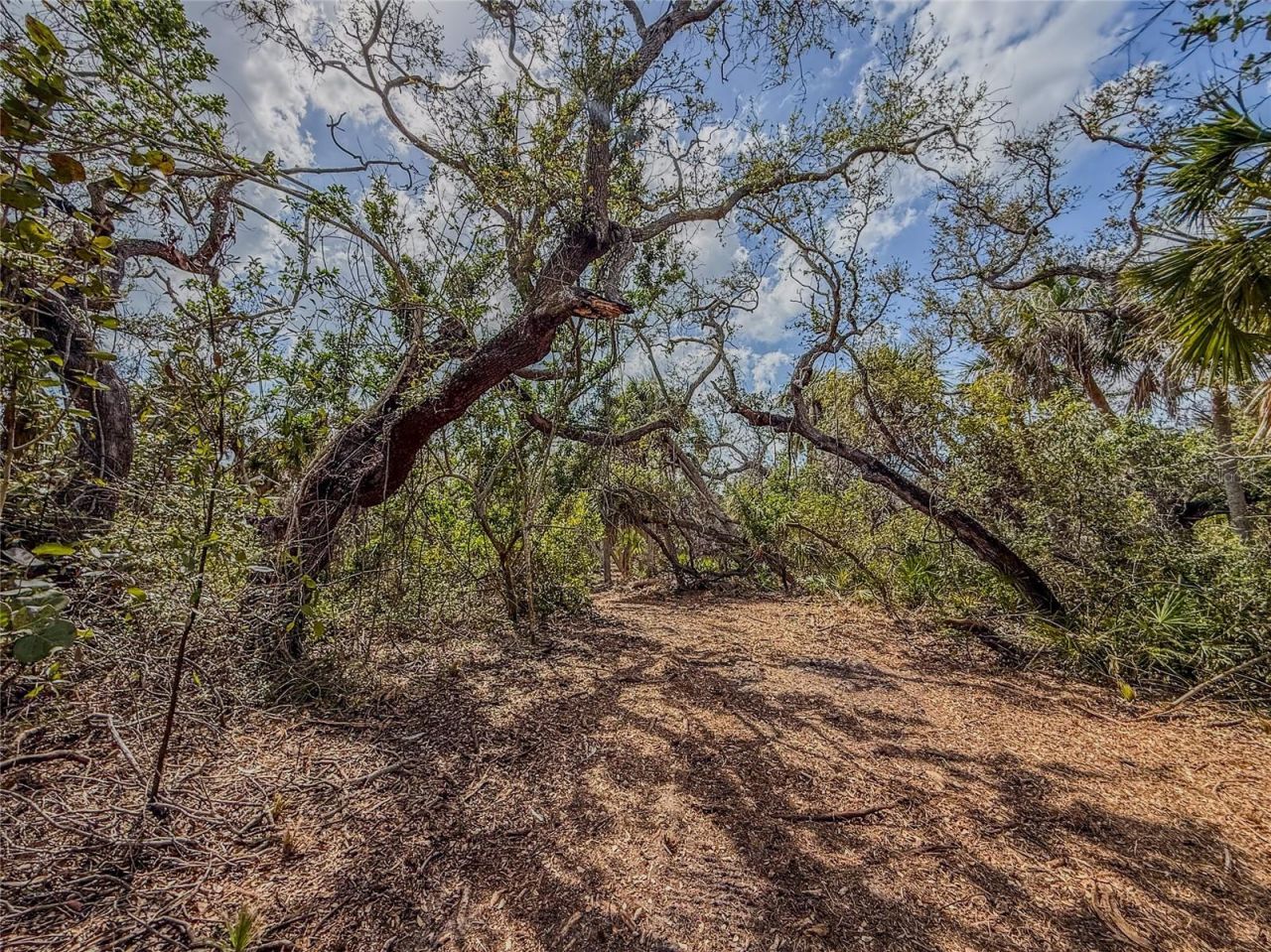 6180 Manasota Key Road, Lot #Gulf Side, Englewood, FL 34223 Photo