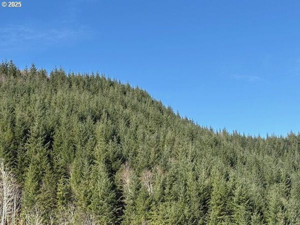 000 Logsden RD, Blodgett, OR 97326