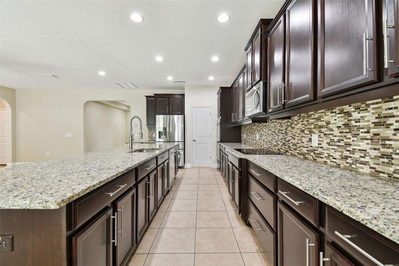 4544 Vermillion Sky Drive, Wesley Chapel, FL 33544 Photo