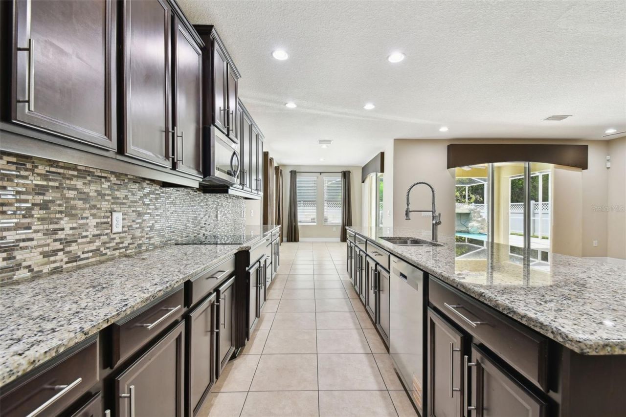 4544 Vermillion Sky Drive, Wesley Chapel, FL 33544 Photo