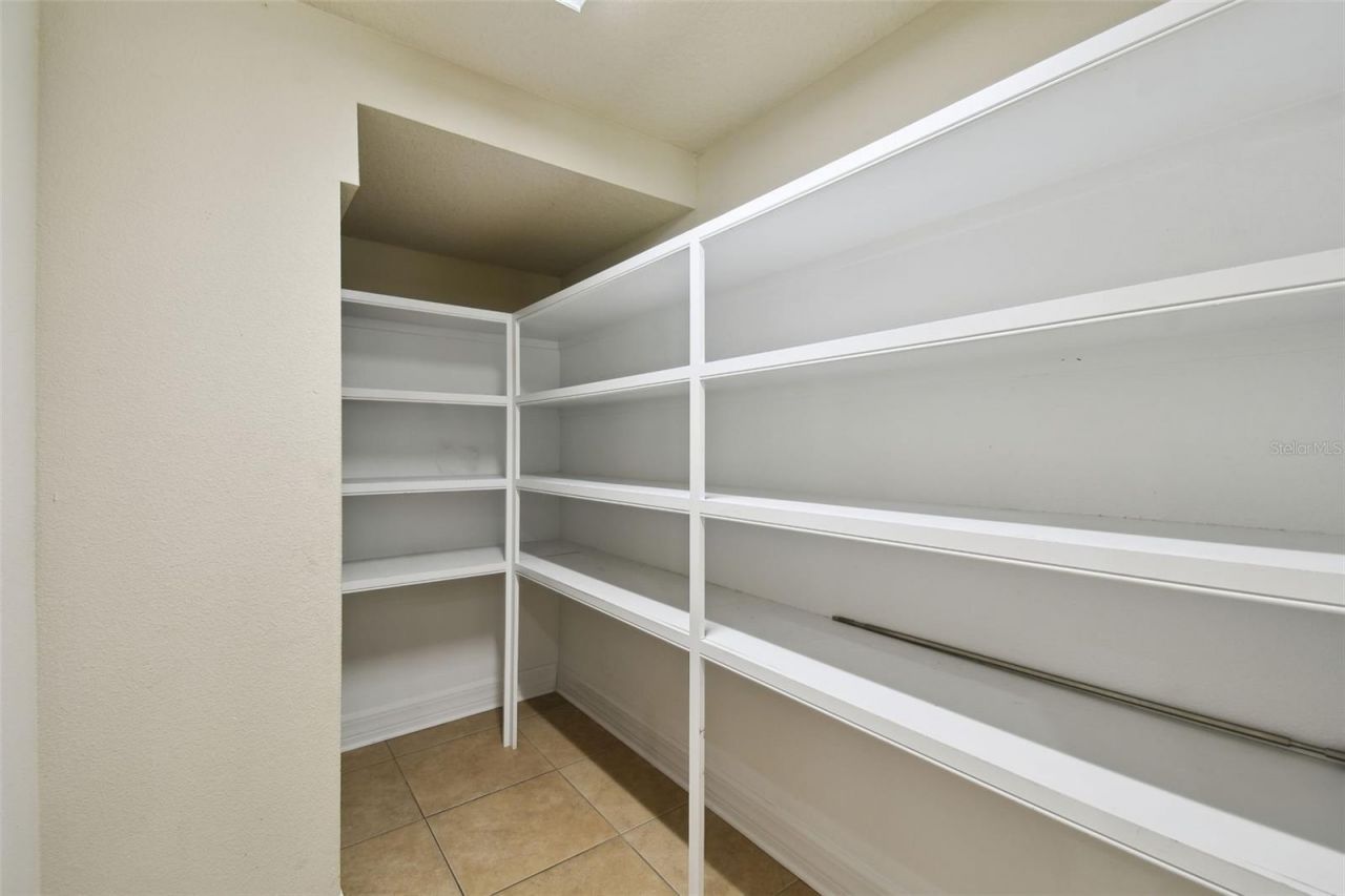 4544 Vermillion Sky Drive, Wesley Chapel, FL 33544 Photo