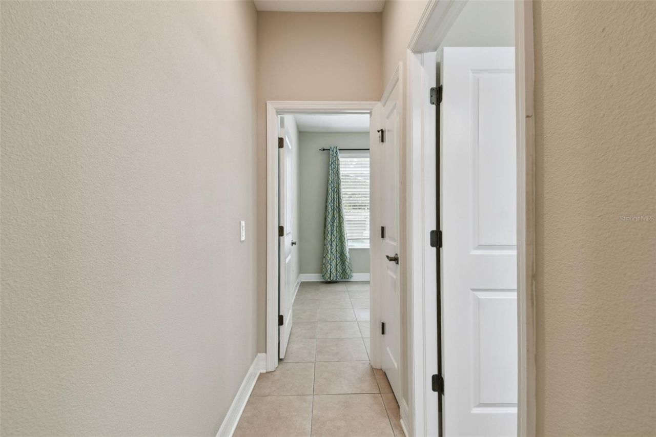 4544 Vermillion Sky Drive, Wesley Chapel, FL 33544 Photo