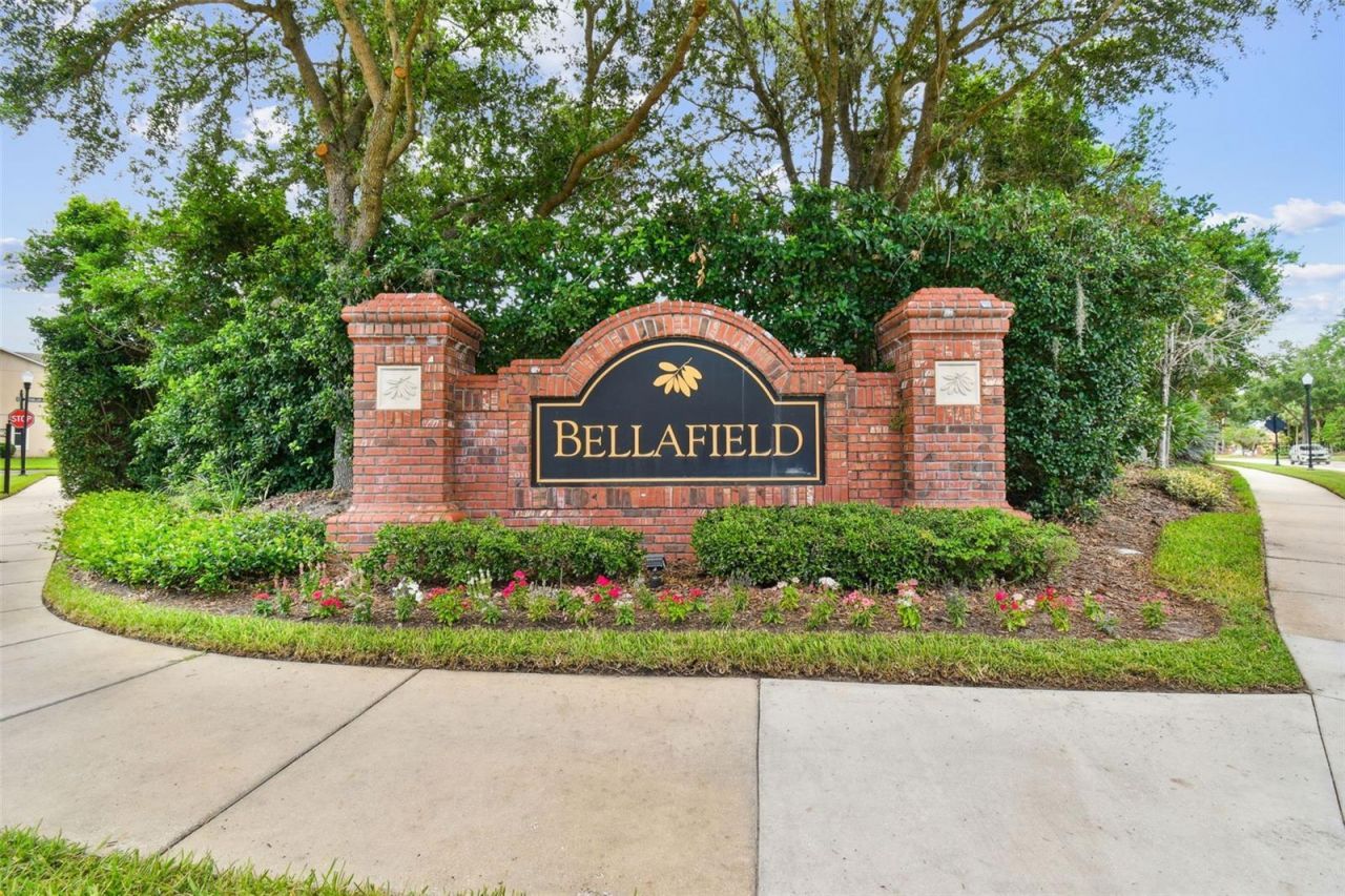 4544 Vermillion Sky Drive, Wesley Chapel, FL 33544 Photo