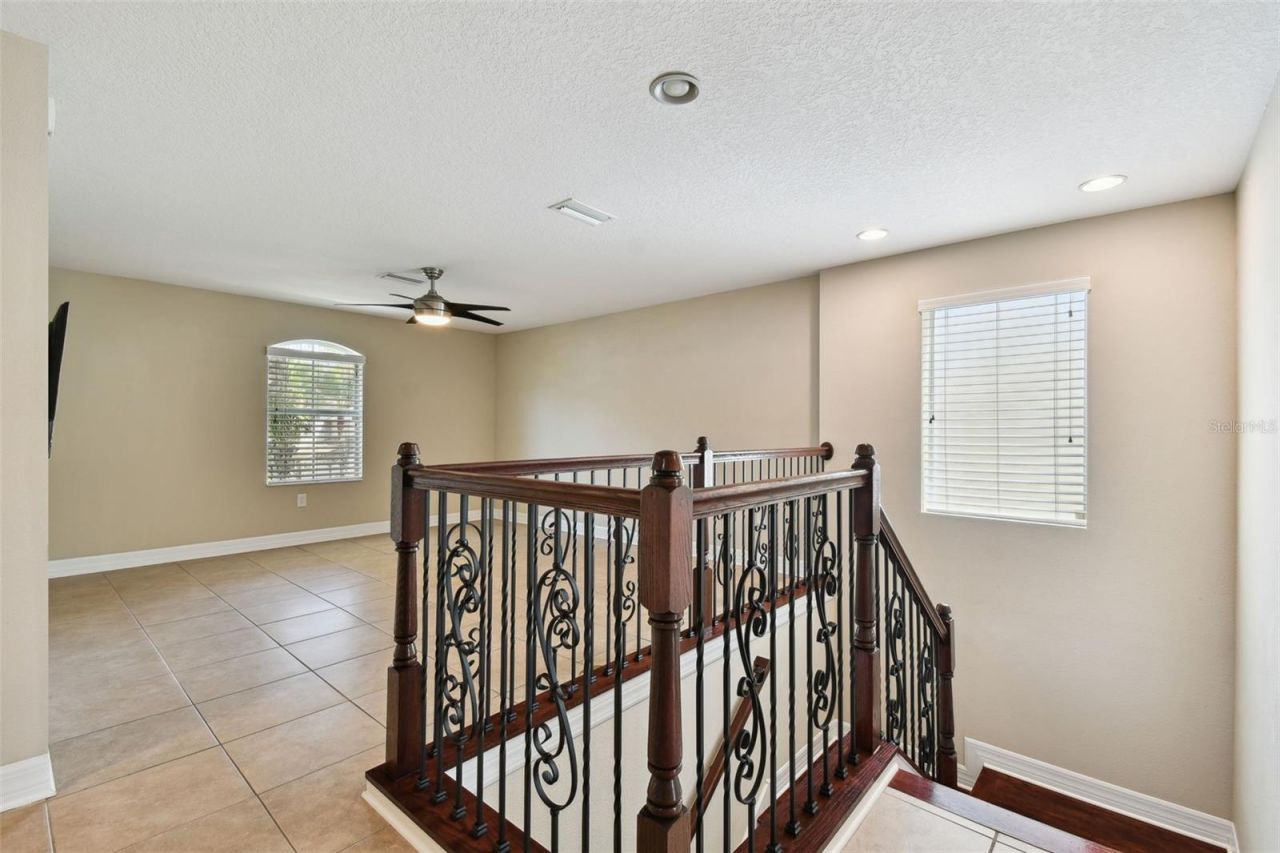 4544 Vermillion Sky Drive, Wesley Chapel, FL 33544 Photo