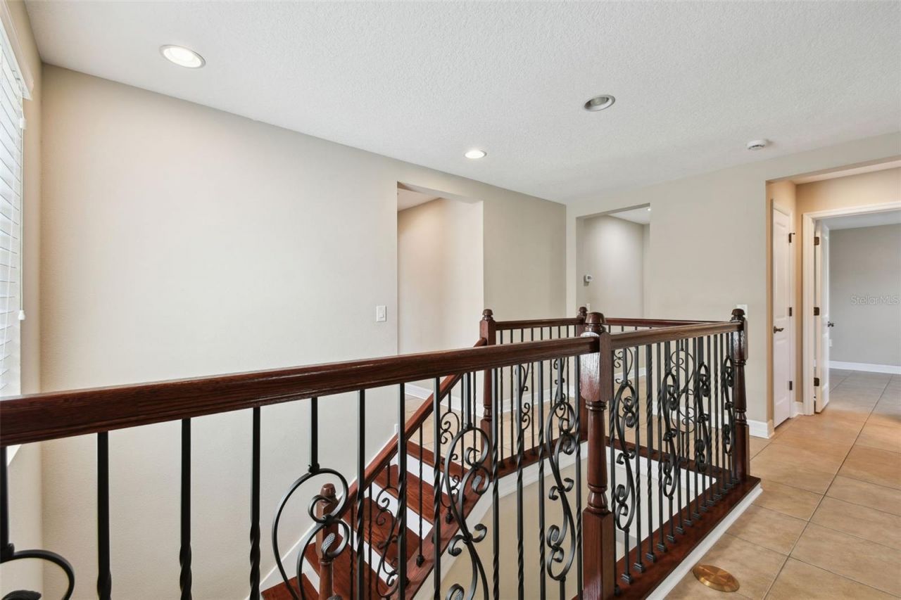 4544 Vermillion Sky Drive, Wesley Chapel, FL 33544 Photo