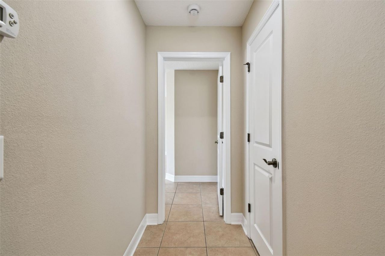 4544 Vermillion Sky Drive, Wesley Chapel, FL 33544 Photo