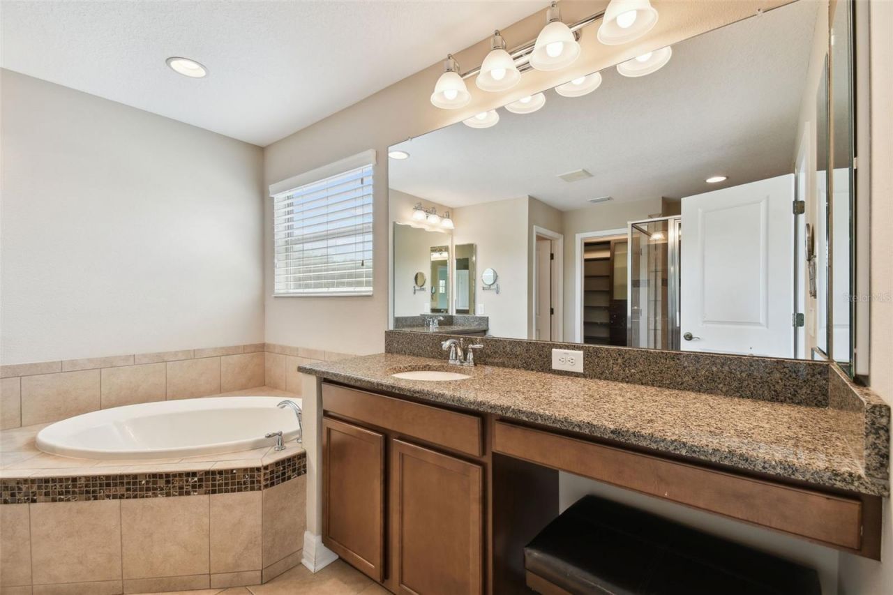 4544 Vermillion Sky Drive, Wesley Chapel, FL 33544 Photo