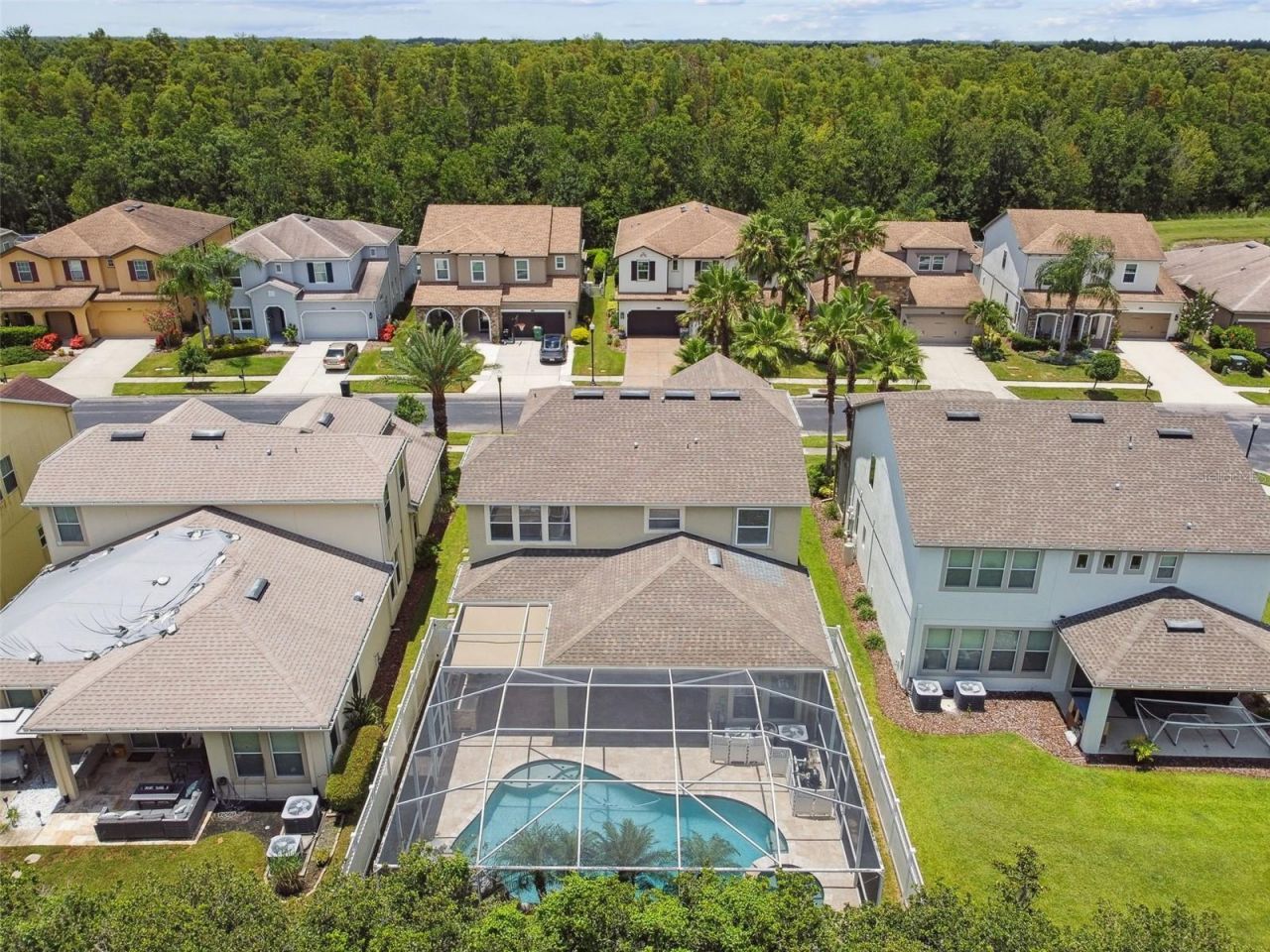 4544 Vermillion Sky Drive, Wesley Chapel, FL 33544 Photo