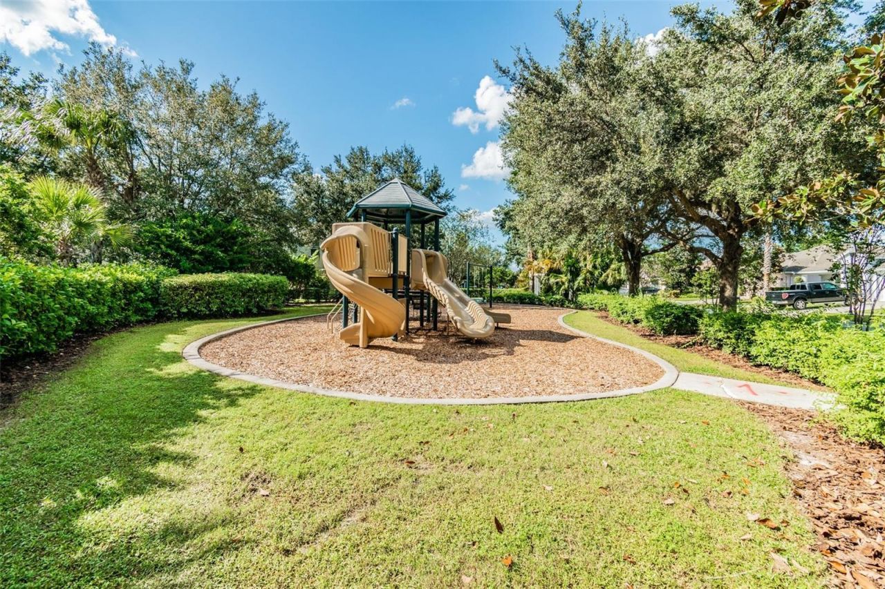 4544 Vermillion Sky Drive, Wesley Chapel, FL 33544 Photo