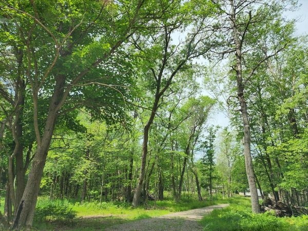 2284 15th Drive, Adams, WI 53934