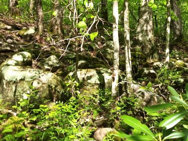 Lot 47 Buckeye Lane, Wilder, TN 38589