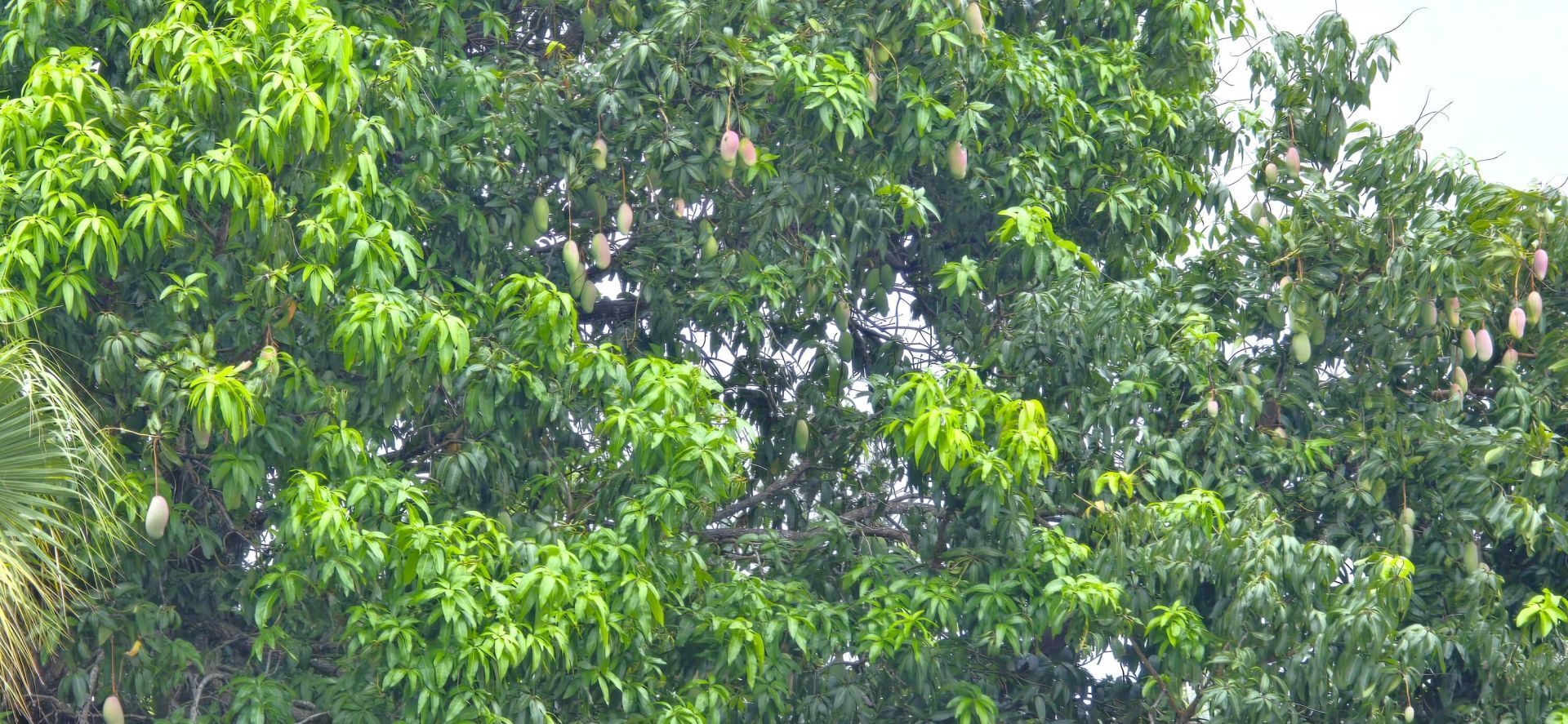 147 NE Naranja Avenue, Port Saint Lucie, FL 34983 Photo