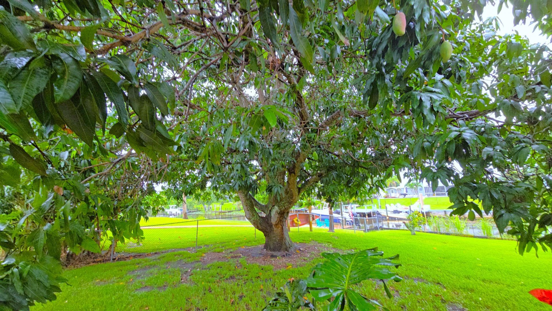 147 NE Naranja Avenue, Port Saint Lucie, FL 34983 Photo