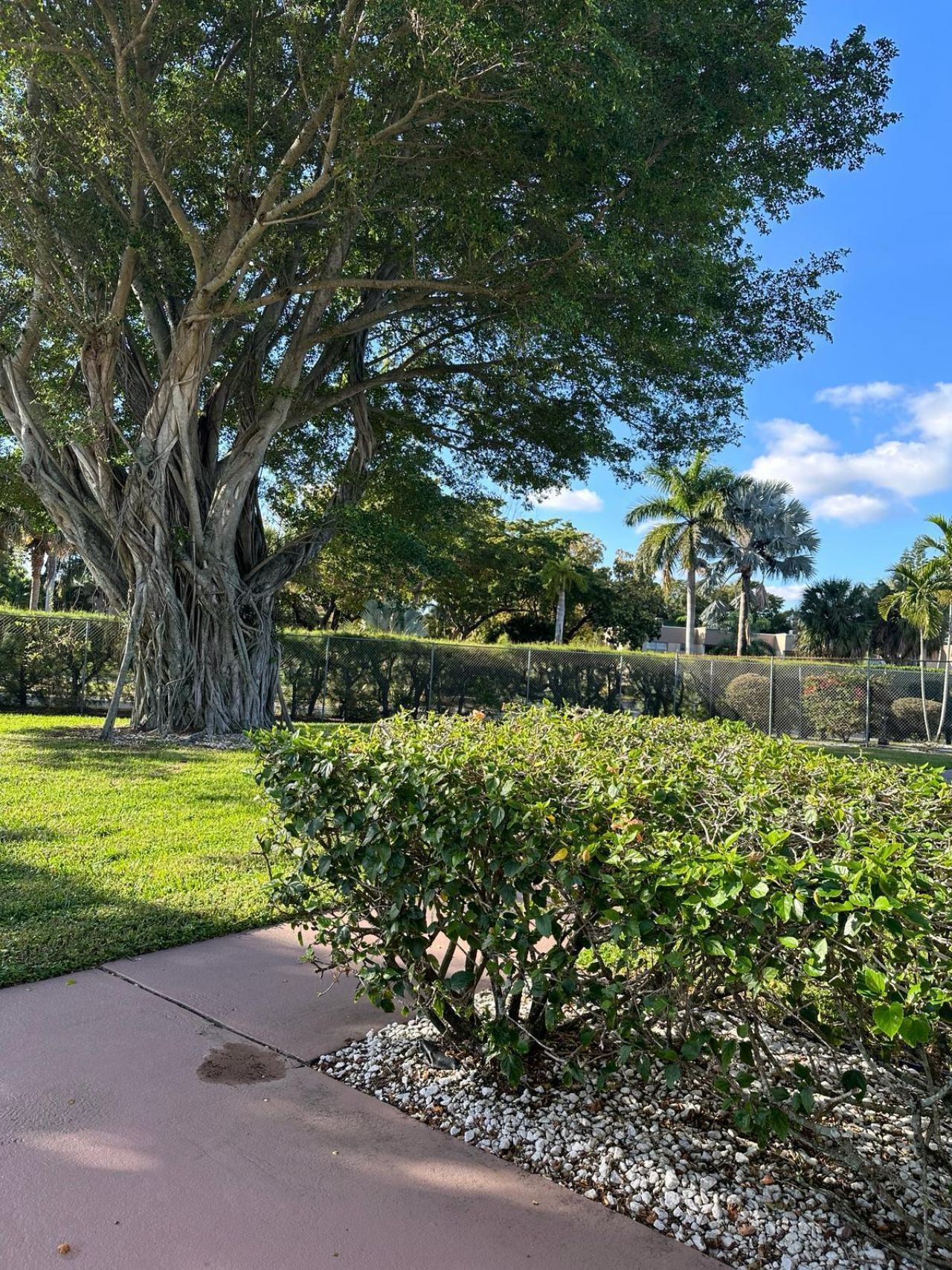 225 Bonnie Boulevard, Unit 116, Palm Springs, FL 33461 Photo