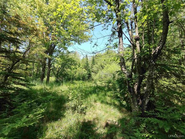 8930 Sand Lake Road, Onota Twp, MI 49806