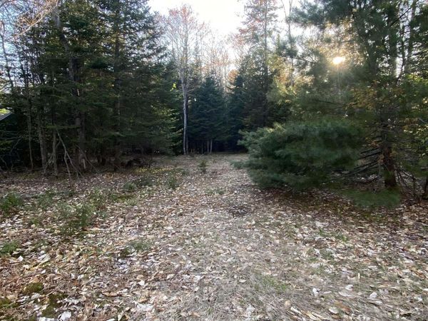 TBD Ross Lake Road, Burt Twp, MI 49884