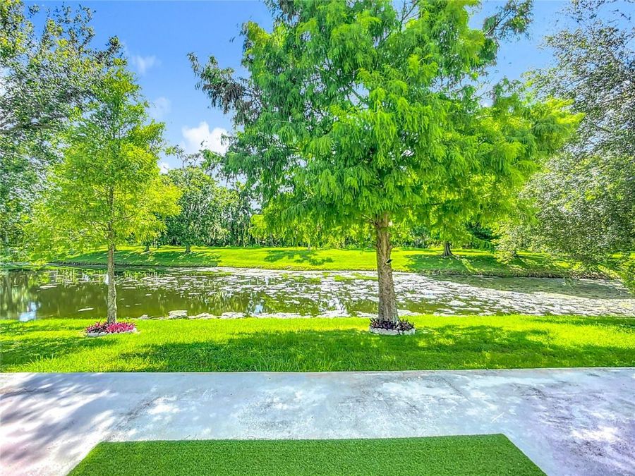 Property Image 59