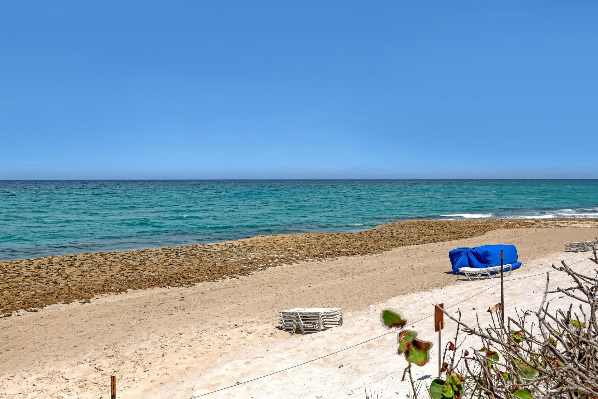 4200 N Ocean Drive, Unit 2-403, Singer Island, FL 33404 Photo