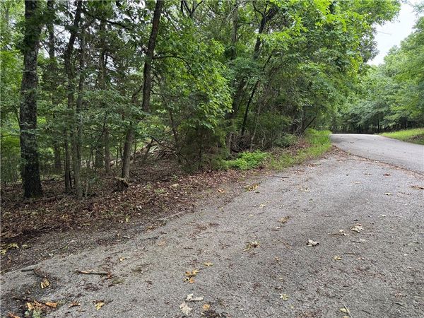Lot 59 W Airport Drive, Garfield, AR 72732