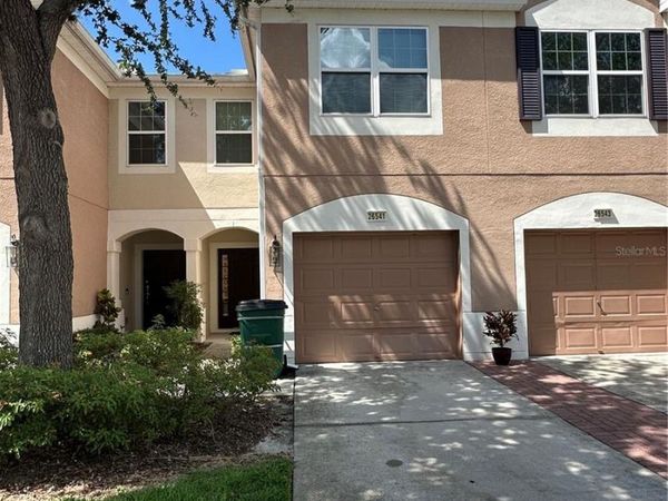 26541 CHIMNEY SPIRE LANE, WESLEY CHAPEL, FL 33544