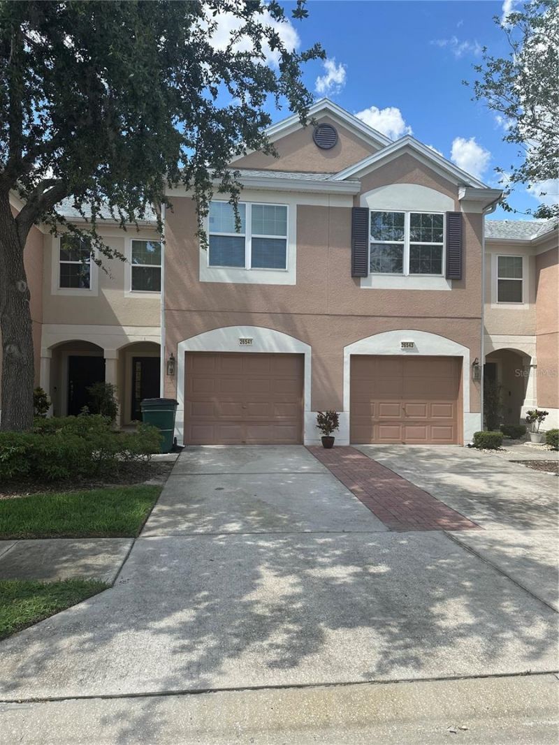26541 Chimney Spire Lane, Wesley Chapel, FL 33544 Photo