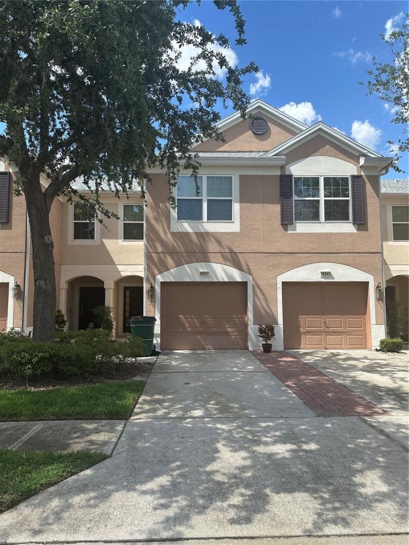 26541 Chimney Spire Lane, Wesley Chapel, FL 33544 Photo