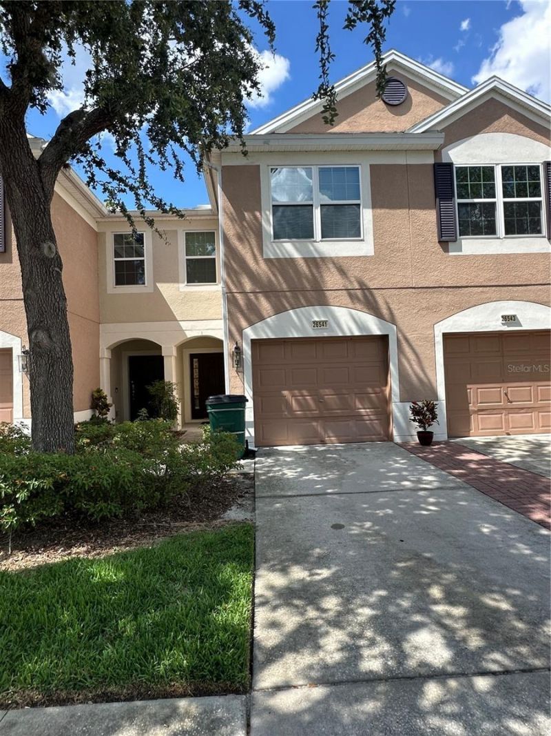 26541 Chimney Spire Lane, Wesley Chapel, FL 33544 Photo