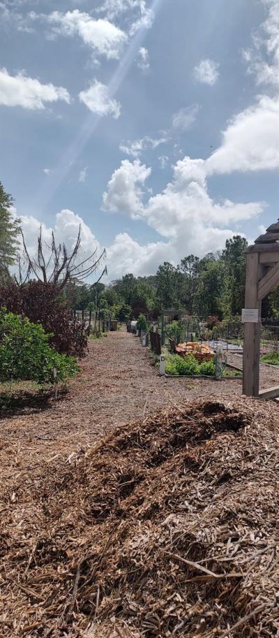 3184 Songbird Circle, Harmony, FL 34773 Photo