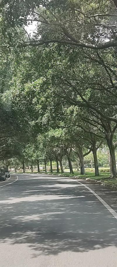 3184 Songbird Circle, Harmony, FL 34773 Photo