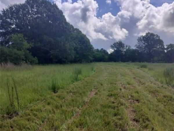 TBD FCR 280, Oakwood, TX 75855