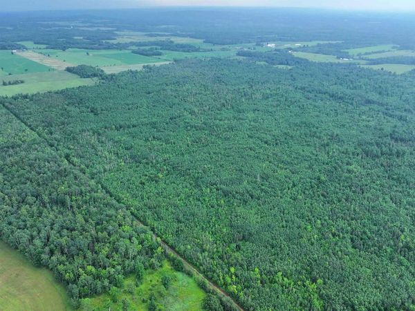 80 Acres on County Line Rd, Brule, WI 54820